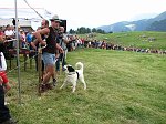 1° Convegno 'Il lupo nel Parco delle Orobie' - 5° Campionato Cani Pastore per Bovini 